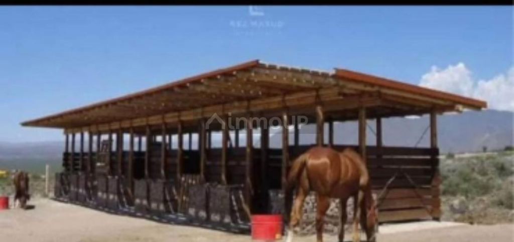 Lote en Venta en Lujan de Cuyo, Mendoza