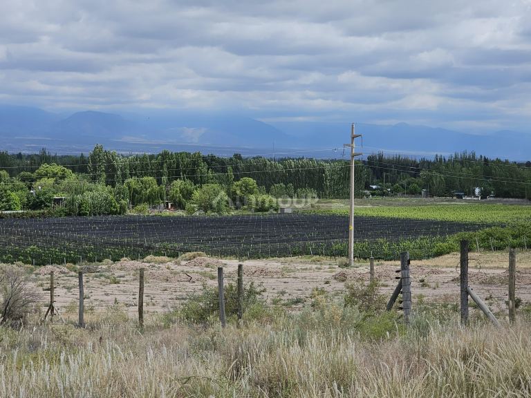 Lote en Venta en Lujan de Cuyo, Mendoza