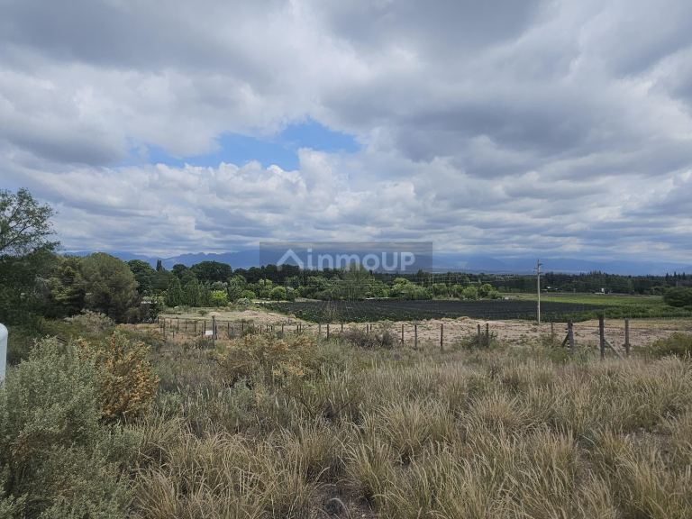 Lote en Venta en Lujan de Cuyo, Mendoza