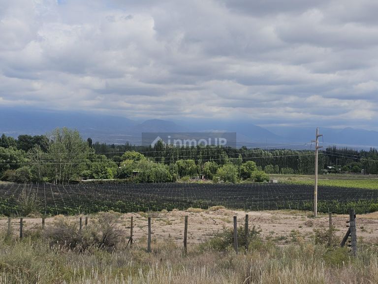 Lote en Venta en Lujan de Cuyo, Mendoza
