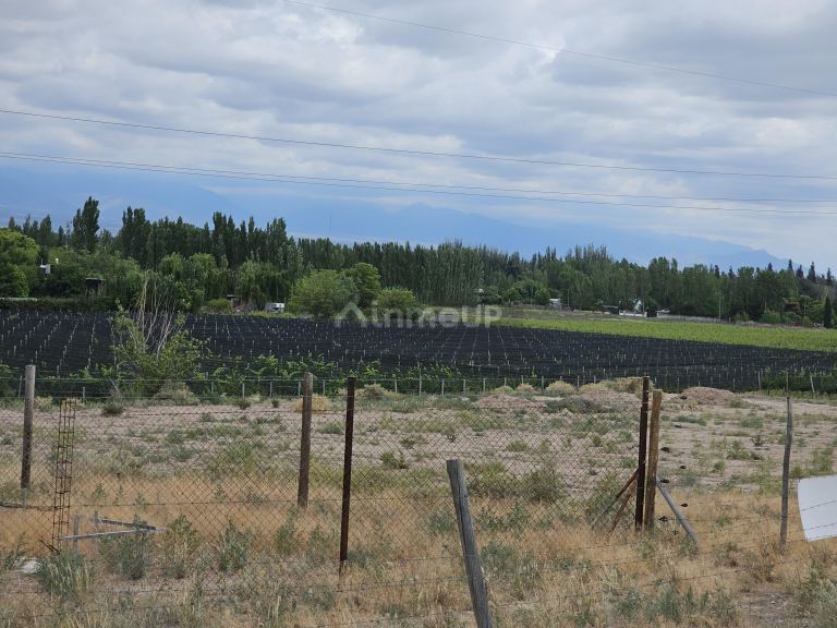 Lote en Venta en Lujan de Cuyo, Mendoza