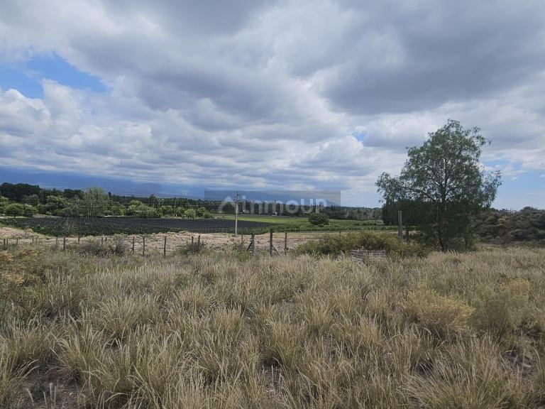 Lote en Venta en Lujan de Cuyo, Mendoza