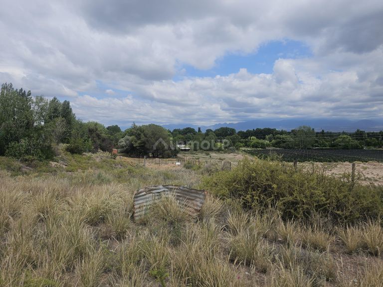 Lote en Venta en Lujan de Cuyo, Mendoza