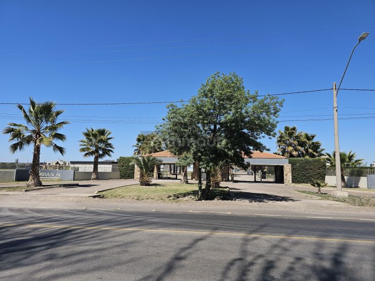 Lote en Venta en Lujan de Cuyo, Mendoza