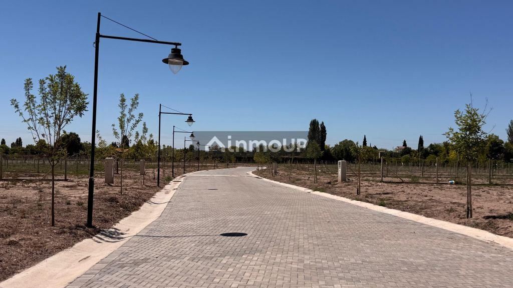 Lote en Venta en Lujan de Cuyo, Mendoza