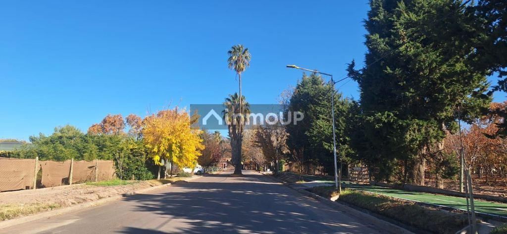 Lote en Venta en Lujan de Cuyo, Mendoza