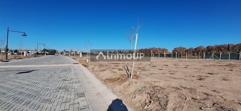 Lote en Venta en Lujan de Cuyo, Mendoza
