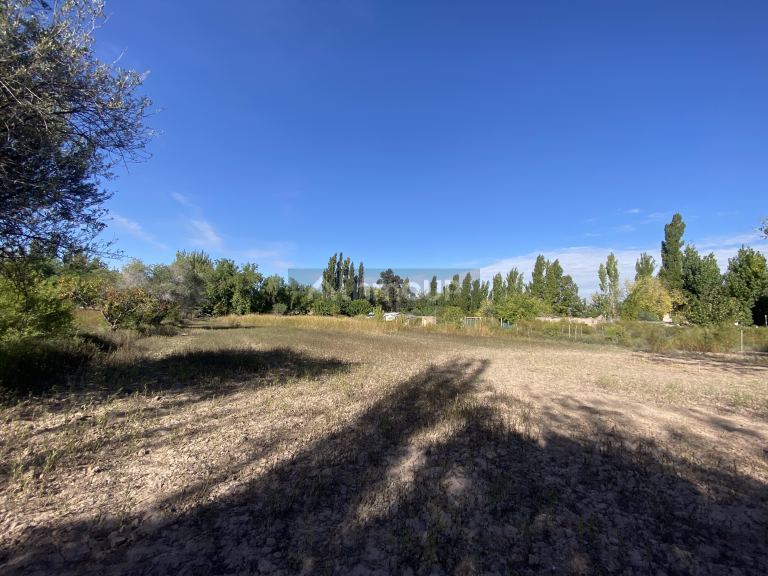 Lote en Venta en Lavalle, Mendoza