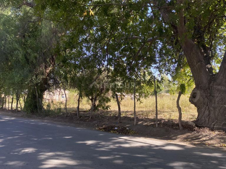 Lote en Venta en Lavalle, Mendoza
