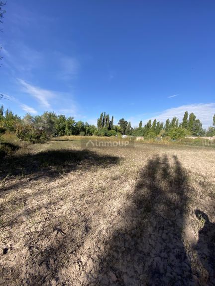 Lote en Venta en Lavalle, Mendoza