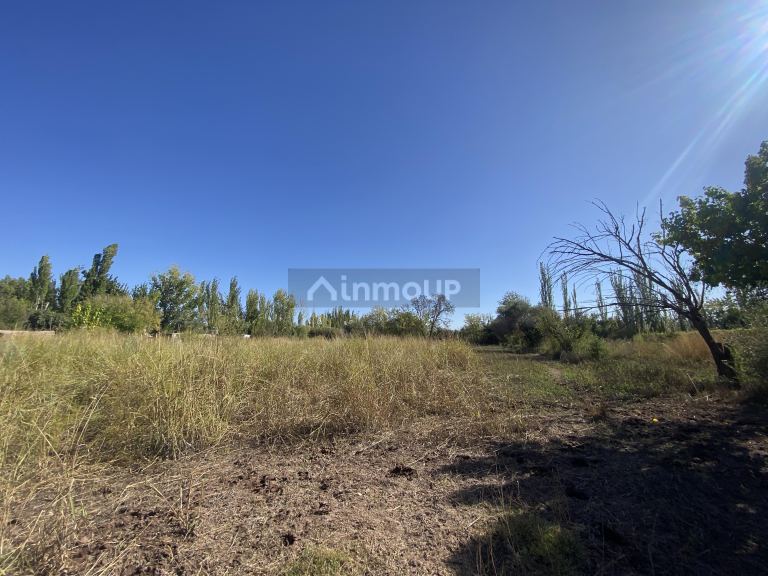 Lote en Venta en Lavalle, Mendoza
