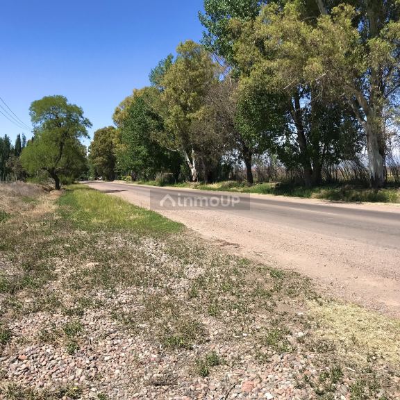 Finca en Venta en Lujan de Cuyo, Mendoza