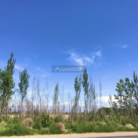Finca en Venta en Lujan de Cuyo, Mendoza