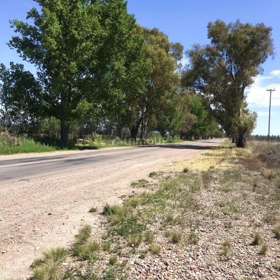 Finca en Venta en Lujan de Cuyo, Mendoza
