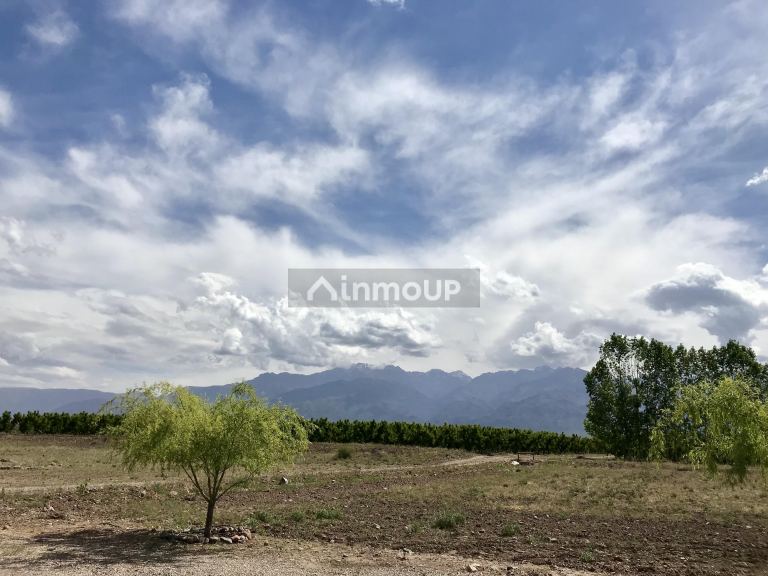 Finca en Venta en Tunuyan, Mendoza