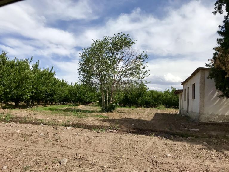 Finca en Venta en Tunuyan, Mendoza