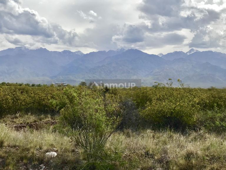 Finca en Venta en Tunuyan, Mendoza