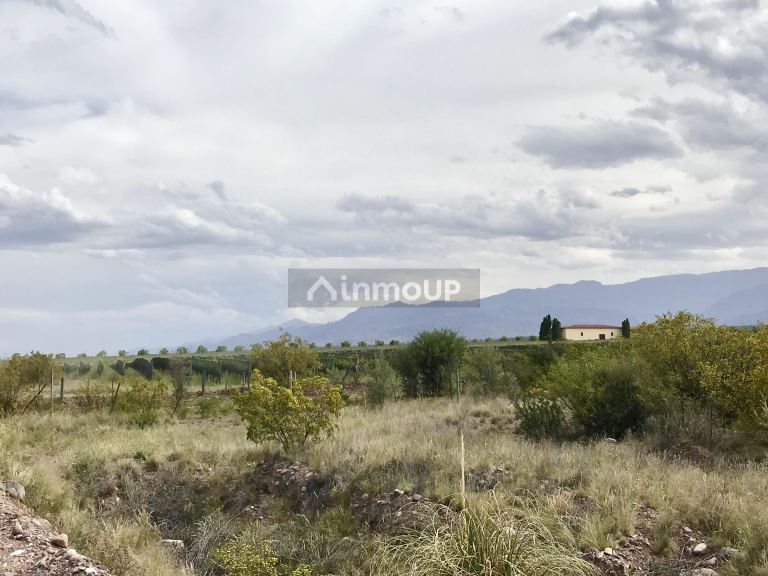 Finca en Venta en Tunuyan, Mendoza