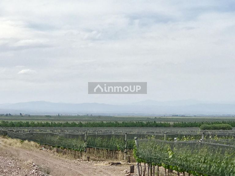 Finca en Venta en Tunuyan, Mendoza