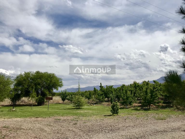 Finca en Venta en Tunuyan, Mendoza