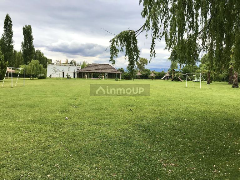 Terreno en Venta en Lujan de Cuyo, Mendoza