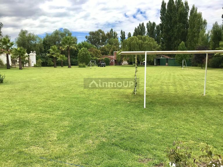 Terreno en Venta en Lujan de Cuyo, Mendoza