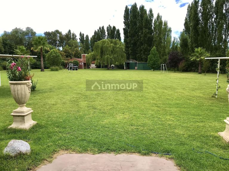 Terreno en Venta en Lujan de Cuyo, Mendoza