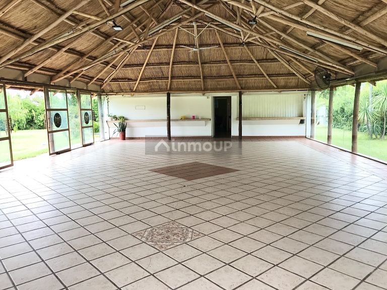 Terreno en Venta en Lujan de Cuyo, Mendoza