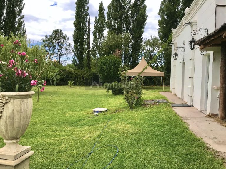 Terreno en Venta en Lujan de Cuyo, Mendoza