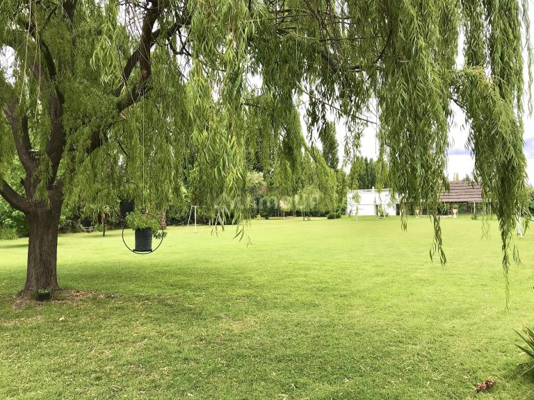 Terreno en Venta en Lujan de Cuyo, Mendoza