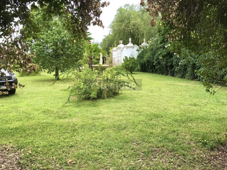 Terreno en Venta en Lujan de Cuyo, Mendoza