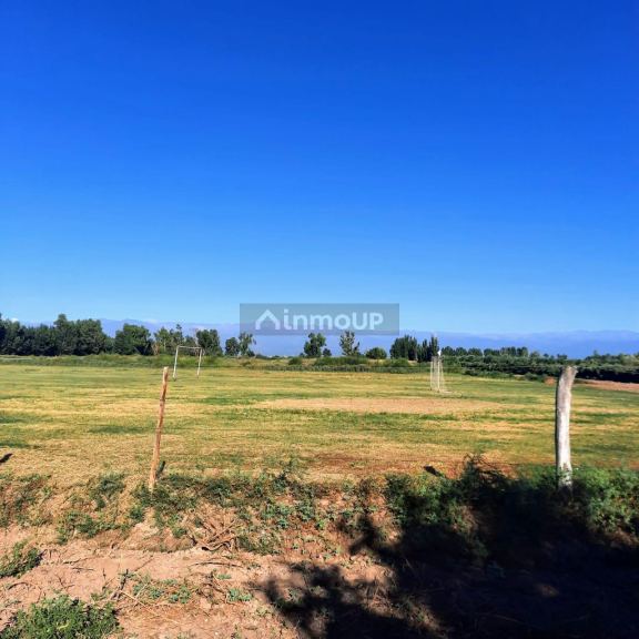 Finca en Venta en Lavalle, Mendoza