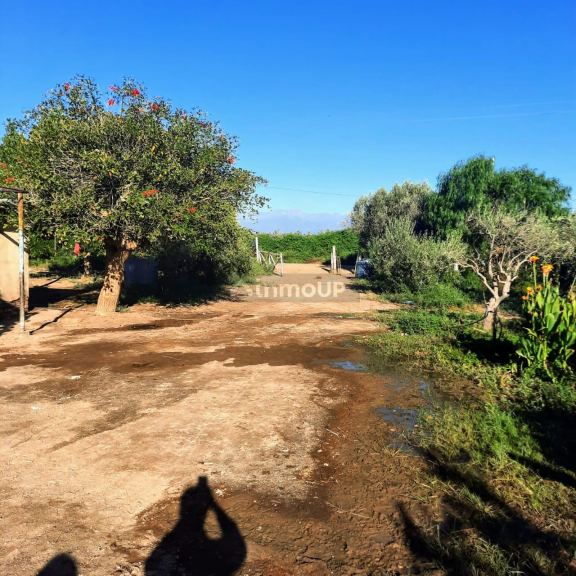 Finca en Venta en Lavalle, Mendoza