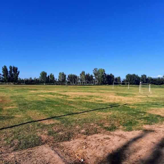 Finca en Venta en Lavalle, Mendoza