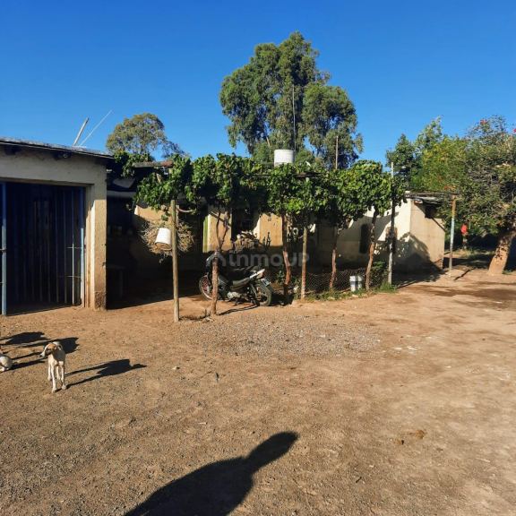 Finca en Venta en Lavalle, Mendoza