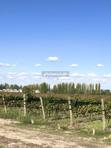 Finca en Venta en Tupungato, Mendoza