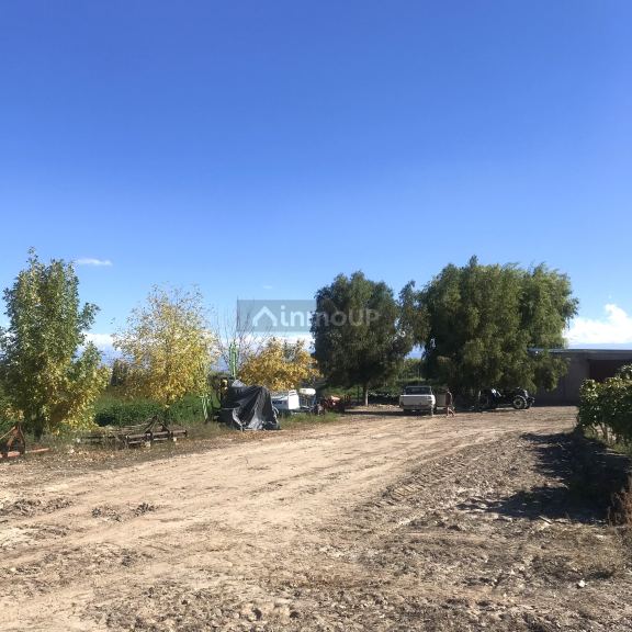 Finca en Venta en Tupungato, Mendoza