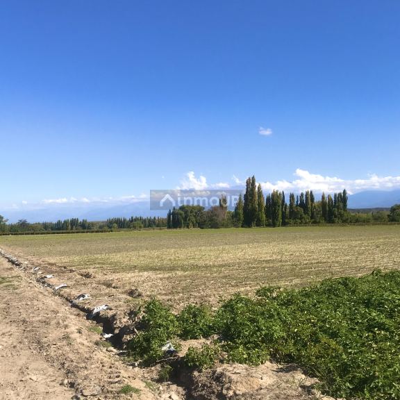 Finca en Venta en Tupungato, Mendoza