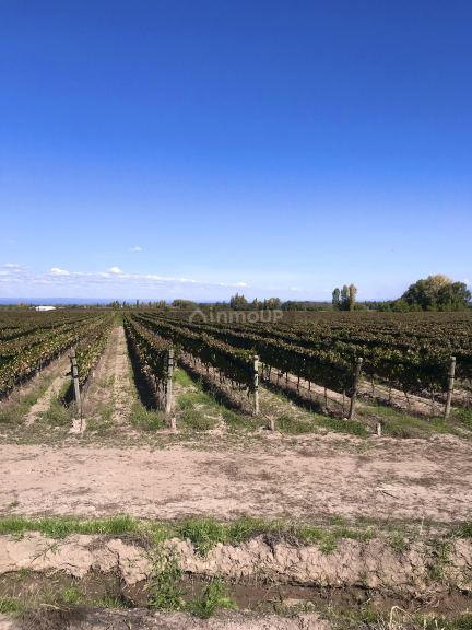 Finca en Venta en Tupungato, Mendoza
