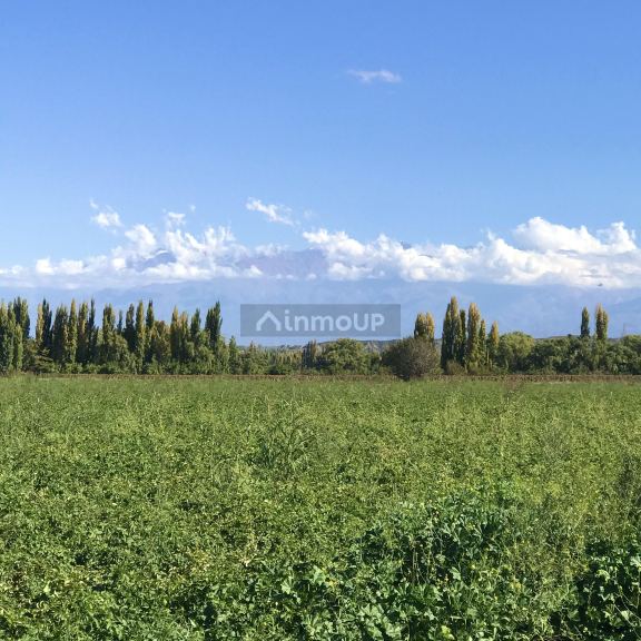Finca en Venta en Tupungato, Mendoza