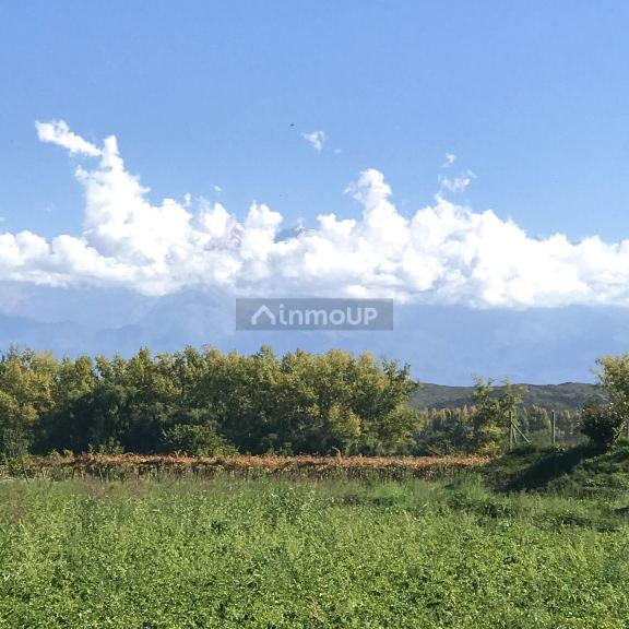 Finca en Venta en Tupungato, Mendoza