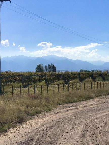 Finca en Venta en Tupungato, Mendoza