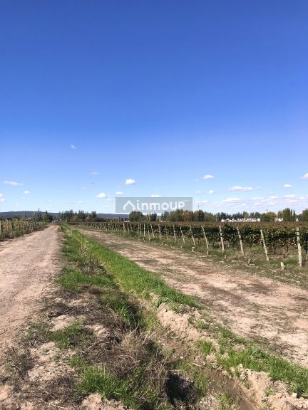 Finca en Venta en Tupungato, Mendoza