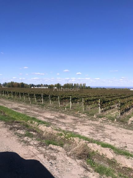Finca en Venta en Tupungato, Mendoza