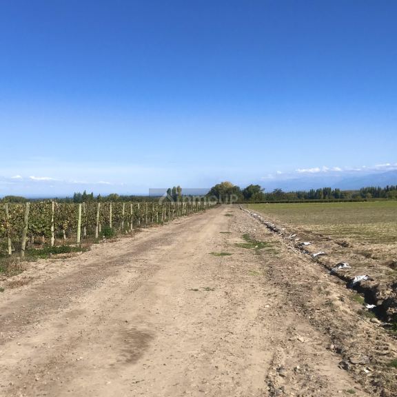 Finca en Venta en Tupungato, Mendoza