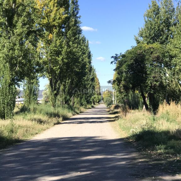 Finca en Venta en Tupungato, Mendoza