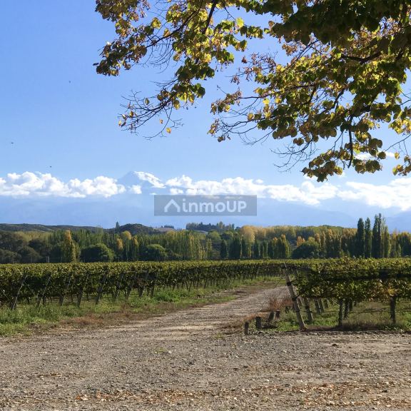 Finca en Venta en Tupungato, Mendoza