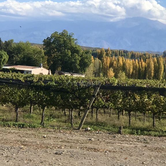 Finca en Venta en Tupungato, Mendoza