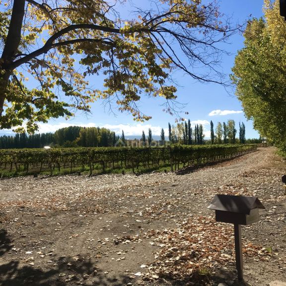 Finca en Venta en Tupungato, Mendoza