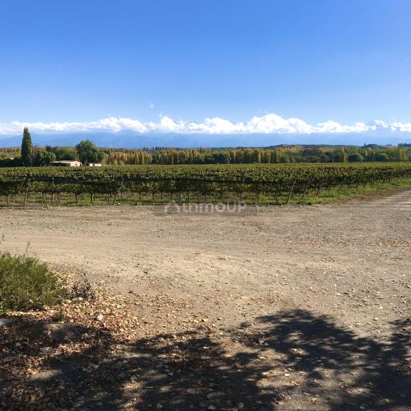 Finca en Venta en Tupungato, Mendoza
